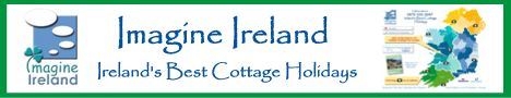www.imagineireland.com