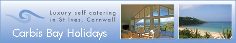 www.carbisbayholidays.co.uk